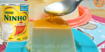 Pudim de Leite Ninho sem Forno