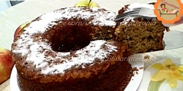 Bolo de Maçã com Coco e Açúcar Mascavo